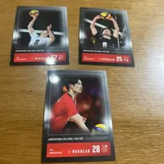 関田　バレーボールカードセット