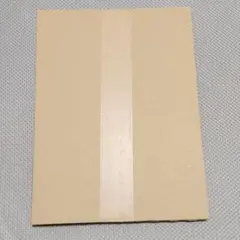 新品未開封 えなこ 夏の表紙ジャックキャンペーン 小冊子2025