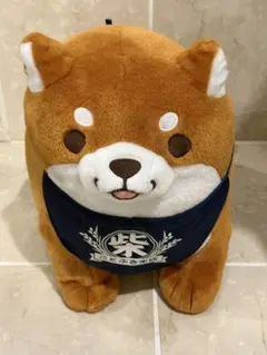 Item thumbnail for item f3d37987-03e7-43ed-b91d-0e1cedfde71e