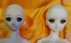 2026年最新】DD セイバーオルタの人気アイテム - メルカリ