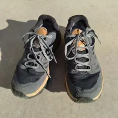 Item thumbnail for item f20a9d65-2556-414d-85a9-a3ef0049dba2