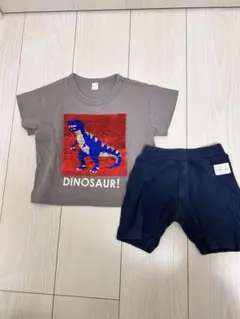 キッズ　Tシャツ　ボトムス　セット　恐竜　ダイナソー　スパンコール