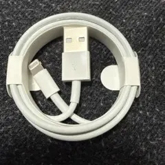Apple Lightningケーブル