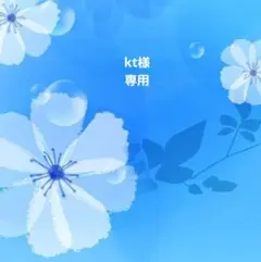 専用ページ