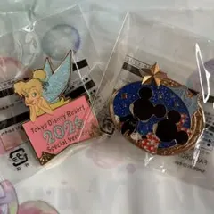 TDR 東京ディズニーリゾートゲームの景品(ピンバッジ)