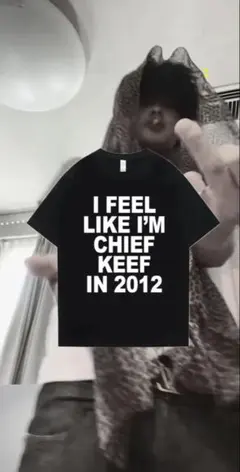 I FEEL LIKE I'M CHIEF KEEF IN 2012 Tシャツ