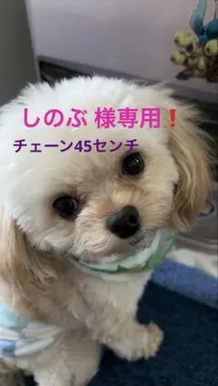 しのぶ様専用❗️ルビー ジルコニア クローバー ネックレス