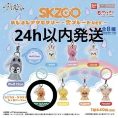 Stray Kids ハンクオッカ SKZOO めじるしアクセサリー雲プレート