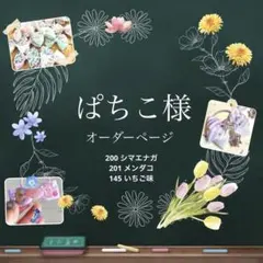 ぱちこ様(♥みにまま♥様)専用 オーダーページ⚘