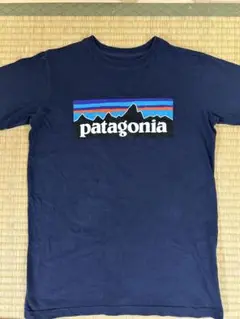 patagonia ネイビー Tシャツ M10