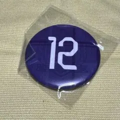 2025年最新】サンフレ缶バッジの人気アイテム - メルカリ