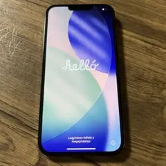 Apple iPhone 13 Pro max 本体