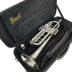 2025年最新】TR400 BACHの人気アイテム - メルカリ