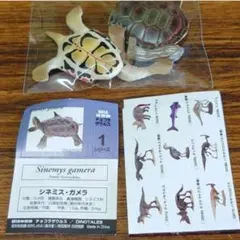 【新品・未使用】チョコラザウルス1リペイント・シネミス、ガメラ