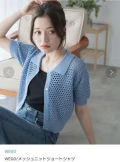 WEGO メッシュニットシャツ 半袖ライトブルー