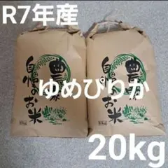 即日発送☆令和7年産　ゆめぴりか　20kg　10kg×2袋　北海道産　精米　白米のサムネイル