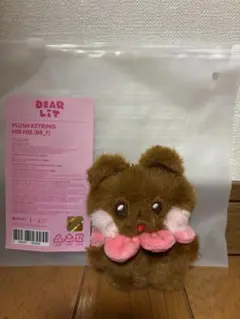 ILLIT 2周年 DEARLIT ウォンヒ ぬいぐるみ - メルカリ