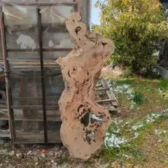 ダケカンバ 瘤板② 瘤杢 道産カバ 天乾12年以上 一枚板 荒材 - メルカリ