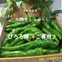 ❇️☘️『ぴろろ 様』ご専用です①♪❇️☘️28日発送♪