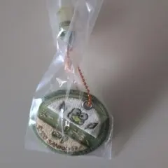 けろけろけろっぴ 刺繍キーホルダー