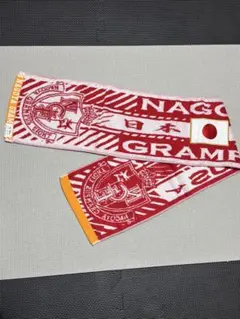 名古屋グランパス 応援タオル ACL