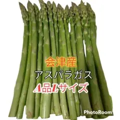 A品 Lサイズ詰め　500グラム　産地直送会津産アスパラガス　アスパラ500g