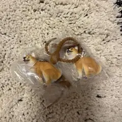 ふんばり〜ぬ3 【柴犬2点セット】初期傷有