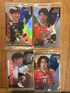 日本代表 バレーボール選手 ウエハース　カード