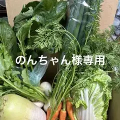 のんちゃん様専用出品