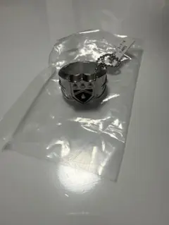 ボンゴレリング（雨）