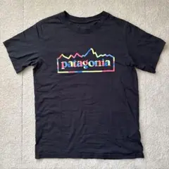 パタゴニア　半袖Tシャツ　グラフィック　Lサイズ