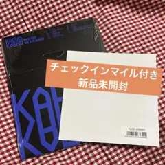 straykids スキズ KARMA チェックインマイル