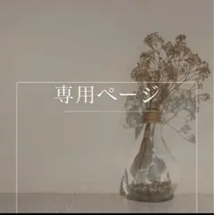 専用ページ