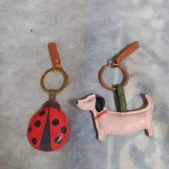 レザー テントウムシと犬のキーホルダーセット
