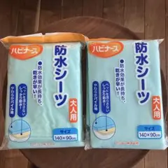 未使用記名入り　ピジョン ハビナース 防水シーツ 大人用 2枚セットのサムネイル