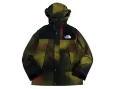 ノースフェイス GORE-TEX マウンテンパーカー ジャケット ブルゾン L