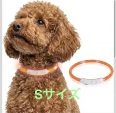 Item thumbnail for item 9bae76bc-b179-4eb6-8e64-d353c7ba4e68