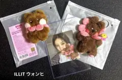 ILLIT Debut Anniversary ぬいぐるみ トレカ ウォンヒ - メルカリ