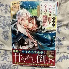 拾われた俺、最強のスパダリ閣下に全力で溺愛されてます : 迷い子の月下美人