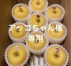 アッコちゃん様専用