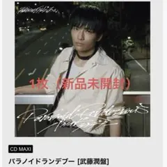 武藤潤　パラノイドランデブー　ソロ盤　原因は自分にある。　シングル　CD