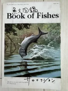 2026年最新】サカナクション 魚大図鑑の人気アイテム - メルカリ