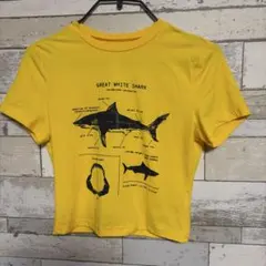 SHEIN ホオジロザメ プリント Tシャツ イエロー S