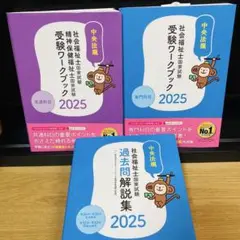 にこ 社会福祉士 受験ワークブック 3冊 社会福祉士・精神保健福祉士国家試験受験ワークブック2025 共通