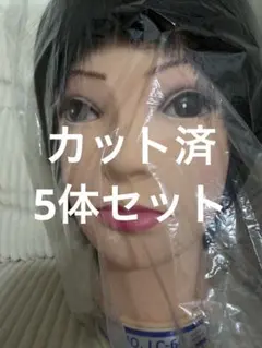 2026年最新】国家試験カットウィッグの人気アイテム - メルカリ