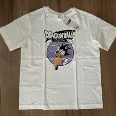 Item thumbnail for item a707d7dc-9b33-4a32-a0a4-c6a32e1102a2