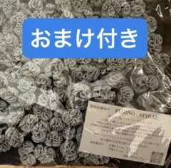フジノスパイラル　ラボスパイラル　ろ材 約16ℓ フジノスパイラル LABOスパイラル ろ材｜Yahoo!フリマ（旧PayPay
