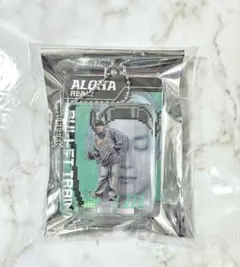 超特急 アロハ REAL? ブリスターキーホルダー