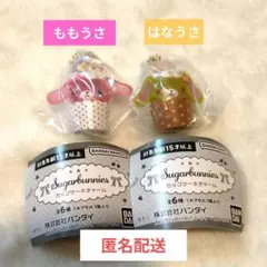 シュガーバニーズ カップケーキチャーム 2種セット