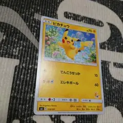 即日発送 ピカチュウ SML 018/051